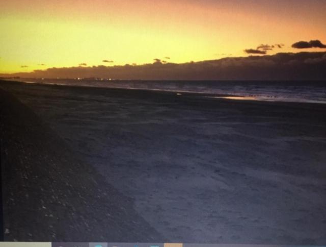 Appartement Studio Face A La Mer Bray-Dunes Exterior foto